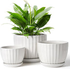 4/5/6 Inches Ceramic Plant Pots with Drainage Holes and Saucers, Round Flower Pots for Indoor Plant, Modern Flower Planters Set of 3 (White-Big Size)