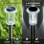 DenicMic Solar Lights Outdoor 10 Pack Waterproof 6000K Cold White LED Stainless Steel Stake for Pathway Yard Garden Driveway Solar Powered Outside Decor