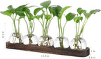 YIBOT Plant Propagation Stations,Glass Propagation Vases for Plants Terrarium with Wooden Tray Plant Lover Gifts for Propagating Hydroponic Plants Home Office Decor(5 Vase)