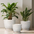 G EPGardening 6 Inch Plant Pot for Indoor Plants Outdoor Round Ceramic Planter Decorative Flower Pot with Drainage Hole and Saucer White