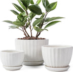 Ceramic Plant Pots with Drainage Holes and Saucers, Round White Flower Pots for Indoor Plant, Diameter 3.3/4.3/5.5 Inches Small Flower Planters Set of 3