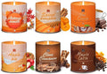 Set of 6 Fall Scented Candles 9 oz Aromatherapy Non Toxic Soy Wax Birthday Candles for Halloween Christmas Easter, Birthday Gifts for Women Men Back to School Gifts for Students, 6 Warmful Scents