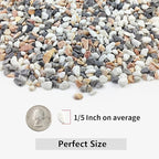 5LBS Succulent and Cactus Gravel Pebbles, 1/5 Inch Natural Decorative Polished Stones, River Rocks for Vases, Aquariums, Terrarium and Outdoor Gardening, Mixed Color