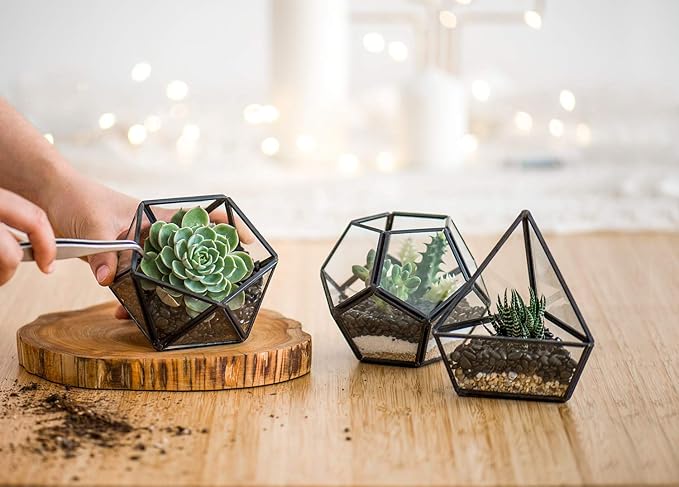 Mkono 4 Inches Mini Glass Geometric Terrarium Container Set of 3 Modern Tabletop Planter Shelves Decor Display Centerpiece for Succulent Miniature Fairy Garden Air Plant, Black(Plant Not Included)
