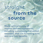 Seaweed Bath Co. Bubbling Muscle Soak, Tea Tree Lavender Scent, 12 Ounce, Sustainably Harvested Seaweed, French Sea Clay, Arnica