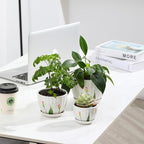 Ceramic Plant Pots with Drainage Holes and Saucers, Round White Flower Pots for Indoor Plant, Diameter 3.3/4.3/5.5 Inches Small Flower Planters Set of 3