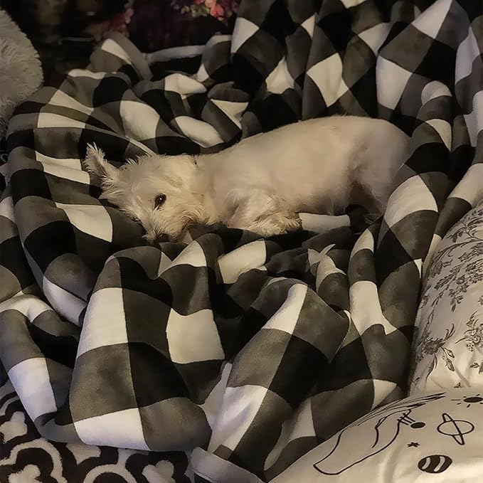 UKELER Buffalo Check Sherpa Throw 80'' x 60''- Soft Plush Flannel Blanket Throws for Bed/Couch/Sofa/Office/Camping