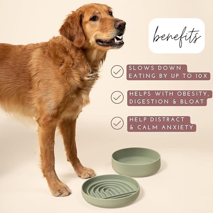 The Slowdown Bowl Silicone Slow Feeder for Dogs & Puppies, Slow Eating, Modern Lick Mat Design, Reduces Gulping, Fits 2.5 Cups 9.5” Across x 1.5” Tall, Mealtime Challenge, Large-Blush