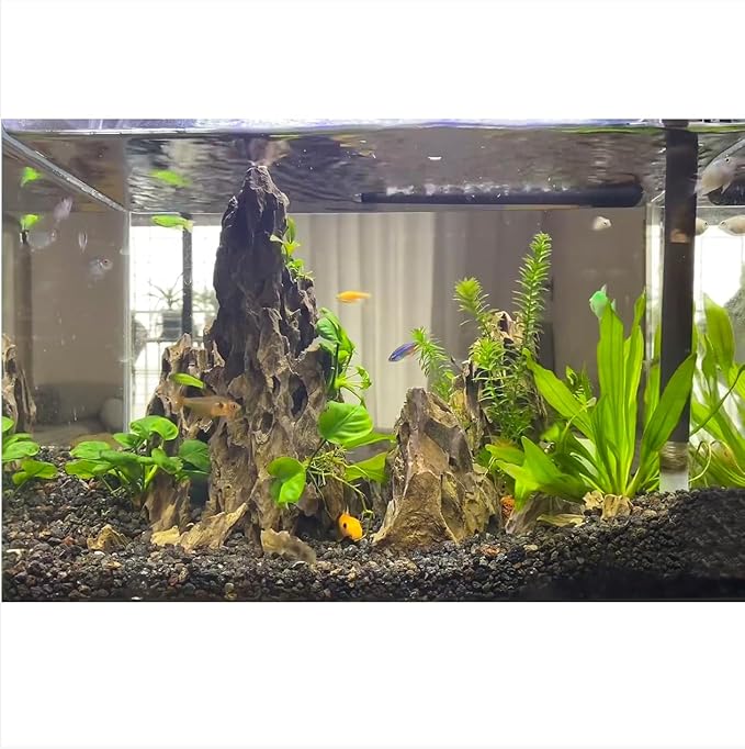 Dragon Rocks Aquariums Stones Natural Rocks for Aquascaping, Aquariums, Terrariums, Vivariums Decorative Stone,Reptile Enclosures,Paludariums,and Gardens-10LB（2 to 7 inch）