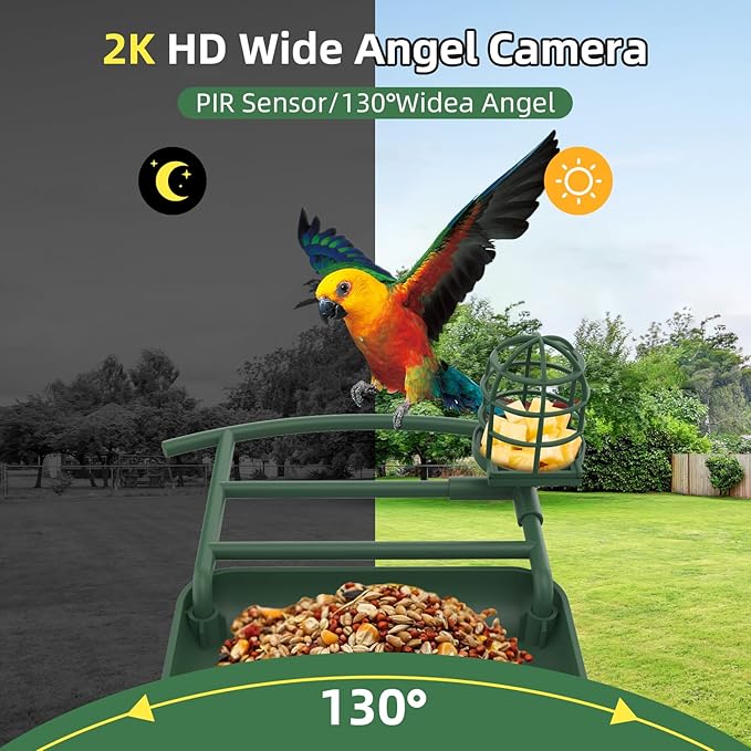 Smart Bird Feeder with Camera, AI Species Identify, Dual Solar Powered Birdfeeder Cam for Outside IP65 with 2.4GHz WiFi, 2K HD Auto Capture Birds Video for Bird Lover (Green)