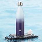 Insulated Water Bottles,25 oz Double Wall Stainless Steel Vacumm Metal Flask for Sports Travel,Ocean Dream