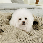 Amélie Home Chenille Knit Throw Blanket for Couch, Chevron Texture Decorative Soft Blanket for Sofa, Bed & Chair, 60"x80", Beige
