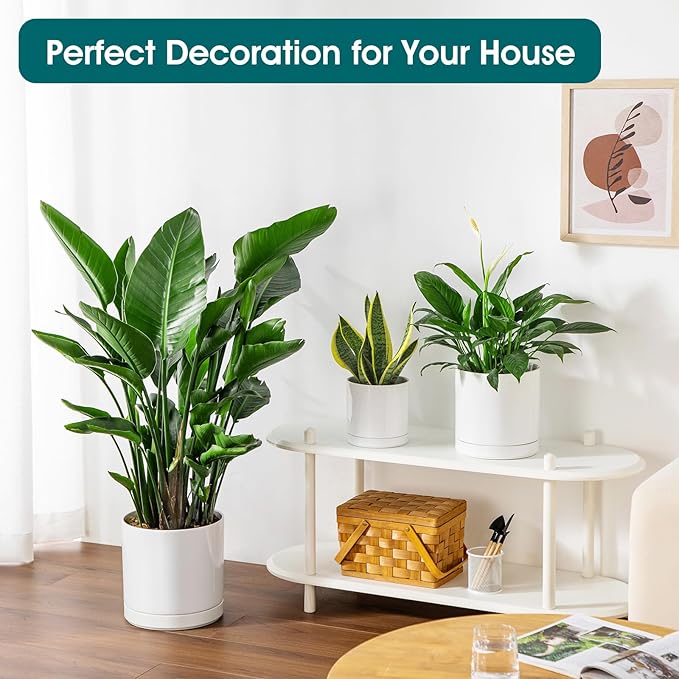vancasso Ceramic Planters, Plant Pots for Indoor Plants, 6.25+8.25+10.25 Inch Ceramic Pots for Plants, Flower Pots with Drainage Holes, Planters Pot for Indoor House Plant, Set of 3, White