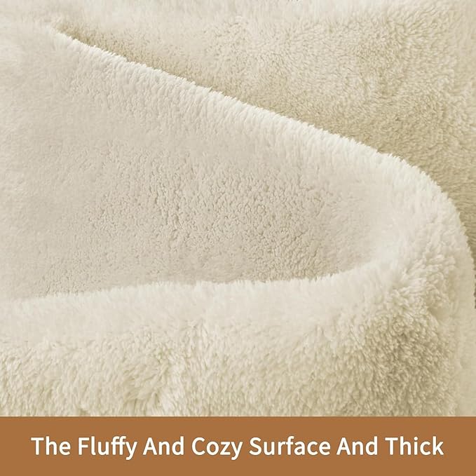 Sour Lemon 10x14 Area Rugs for Living Room, Soft Large Area Rug Fluffy Rugs for Bedroom，Machine Washable Area Rug Non Slip Carpet Rug for Living Room Playroom Kids Room Home Decor