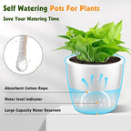 Self Watering Pots for Indoor Plants, 12-Pack 5'' Self Watering Planter with Drainage Holes, Small African Violet Pots with Water Level Indicator, Clear Wick Pot, White/Black
