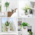 Hanging Planters for Indoor Outdoor Plants, 2 Pack Self Watering Hanging Pot with Drainage Holes & Removable Tray (Green, 6'')
