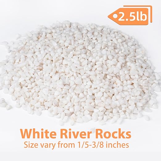 2.5 lbs White Aquarium Gravel, 1/5 Inch White Rocks for Plants, Small Pebbles for Vases, Succulents, Bamboo, Natural Decorative Pebbles for Plants Drainage, Cactus, Crafts