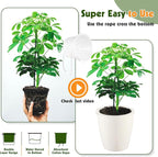 Self-Watering Pots for Indoor Plants, 8-Pack Self Watering Planter with Drainage Holes, Small African Violet Pots with Water Indicator, 5 Packs 5''/3 Pack 6.7'' Orchid Pot, White