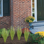 Melorca&Guilla Artificial Plants 6PCS 27“ Fake Tall Onion Grass Faux Plant,Artificial Grass Greenery Shrubs Bushes for Garden Porch Window Box Shop Office Home Décor