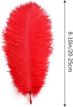 THARAHT Red Ostrich Feathers 12pcs Natural Bulk 8-10Inch 20cm-25cm for Crafts Wedding Party Centerpieces Flower Arrangement Halloween and Home Decoration Feathers