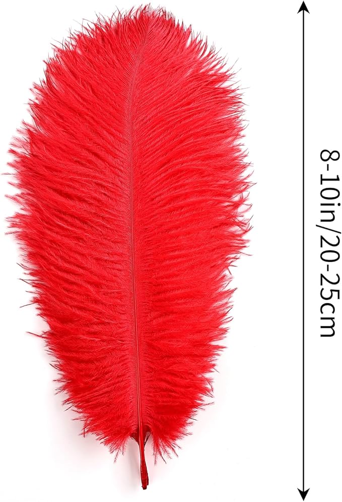THARAHT Red Ostrich Feathers 12pcs Natural Bulk 8-10Inch 20cm-25cm for Crafts Wedding Party Centerpieces Flower Arrangement Halloween and Home Decoration Feathers