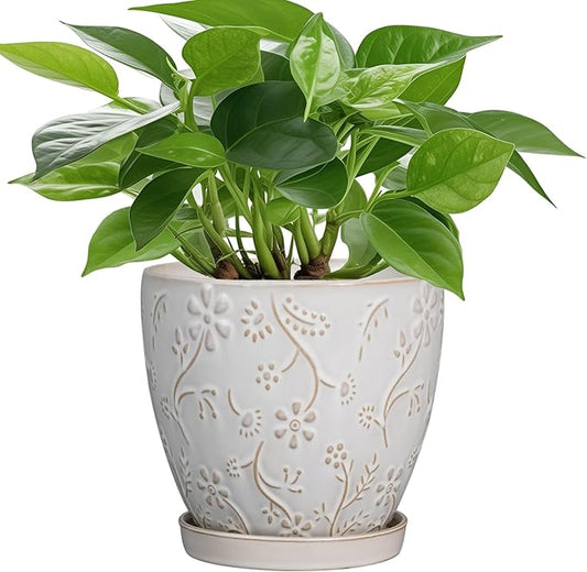 6 Inch Ceramic Plant Pot for Indoor Plants Outdoor Round Planter Flower Pot with Drainage Hole and Saucer for Home Garden Office Decor White