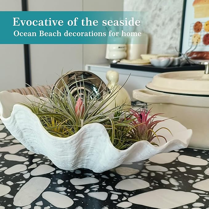 Accessoryway Large White Sea Shells Decorative Bowl Resin Clam Shell Bowl Beach Decorations for Home Coastal Beach Decor Decoration Storage Bowls & Home Office Nautical Themed Party Decor -10.2"-1PC