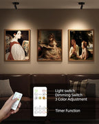 EZVALO Wireless LED Spotlights Indoor, 5500mAh Rechargeable Battery Powered Plants Spotlights Indoor, Dimmable & Timer, 3 CCT Small Up Lights with Remote, Accent Uplighting for Artwork,Tree(Black)