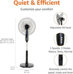 Amazon Basics 16" Pedestal Fan with Remote, Floor Fan, Standing Fan for Bedroom, Living Room, Office, with 3 Speeds, 3 Modes, Timer, Dual-Layered Blades, Adjustable Height, Tilt Head, 60W, Black