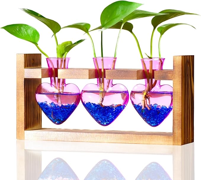 Nacome Plant Terrarium for Office Decor: Birthday Gifts for Plant Lovers Women Mom Wife - Wooden Stand Tabletop Planter 3 Bulb Glass Vase Heart Shaped for Hydroponics Indoor Home(Purple)