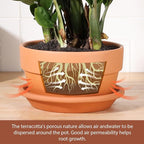 INGOFIN 8 Inch Terracotta Shallow Pots Set with Saucer - Ceramic Clay Pots with Drainage Hole, Terra Cotta Pot for Plants for Indoor Outdoor Plants, Set of 2