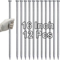 VVOKGO 16 Inch Rebar Stakes Metal Asphalt Anchoring Spikes Ground (12pcs), 1/2 Inch Diameter Galvanized Landscape Anchors Heavy Duty for Speed Bump, Handicap Threshold Ramps, Parking Limits Curb, Tarp