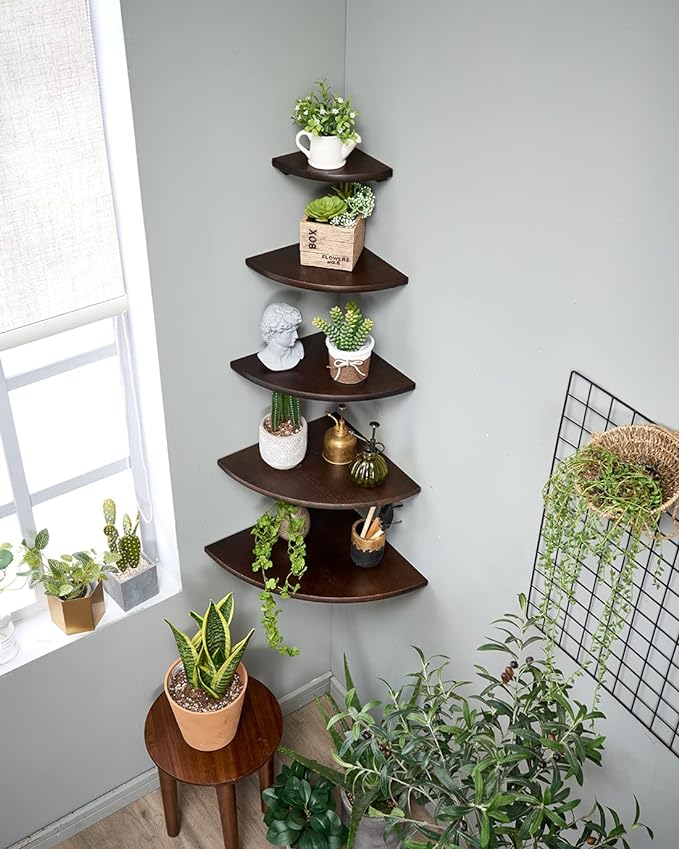 Corner Shelf,16inch Walnut Solid Wood Floating Corner Shelves Wall Mount Round End Floating Speaker Rack with Wire Hole for Small Plant for Bedroom Kitchen, Living Room