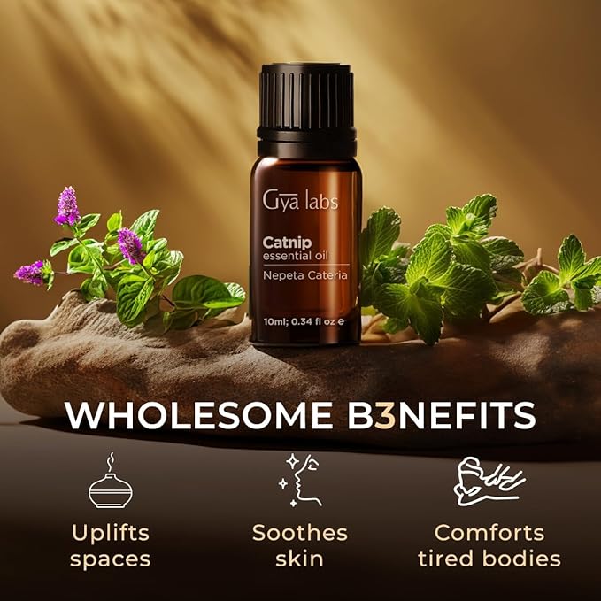 Gya Labs Catnip Essential Oil for Skin - 0.34 Fl Oz - 100% Pure Natural Catnip Oil for Diffuser, Massage & Candle Making Scent