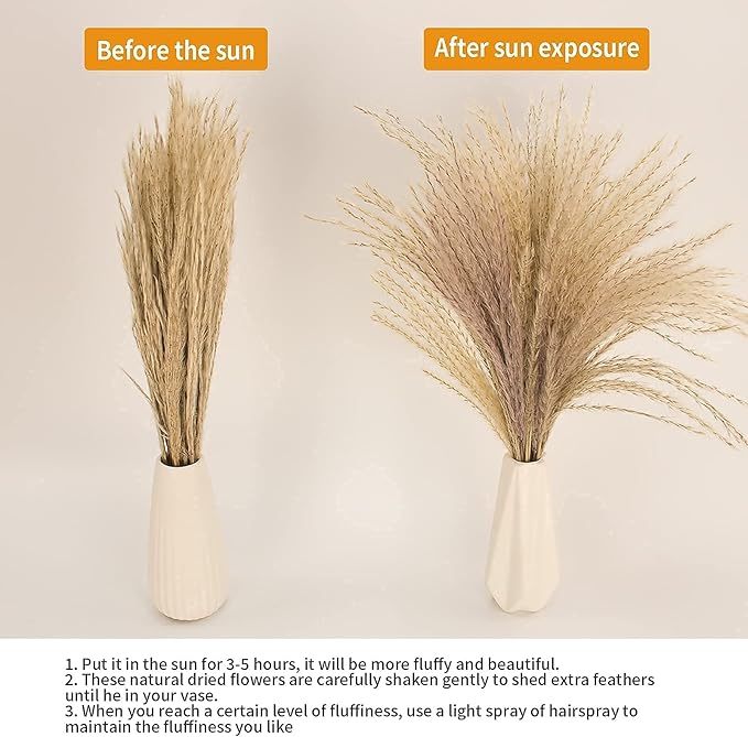 65PCS Pampas Grass Decor, Including pompas Floral, Reed Dried Grass and Bunny Tails Dried Flowers, Natural Dried Pampas Grass Bouquet for Boho Decor Wedding, Home Decoration