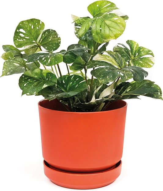 Elly Décor 14 inch Plastic Cylinder Planter Pot with Self-Watering Saucer and Drainage Hole,Lightweight & Extremely Durable, 14"x 14", Terracotta