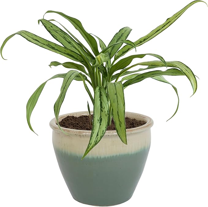 Sunnydaze Chalet Large Ceramic Plant Pot - Round Outdoor Glazed Ceramic Planter Pot with Drainage - Seafoam - 14.5"