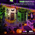 Extendable Purple and Green 2PK 100 LED C9 Halloween Lights Indoor Outdoor Waterproof, 98FT Super Bright C9 String Lights 13 Modes with Timer for Tree Patio Party Garden Halloween Decorations