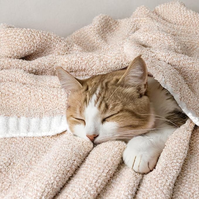 MIULEE Beige Super Soft Throw Blanket for Bed, Twin Size Cozy Fluffy Warm Blankets Knit Blankets for Couch, Sofa, Chair, Living Room, Camping, Picnic, 60 x 80 inch