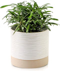 Nihow Ceramic Plant Pot: 6 Inch Planter with Drainage Hole & Saucer for Indoor & Outdoor Plants - Cylinder Round Flower Pot for Succulent/Herbs/Violets - Cream White & Brown