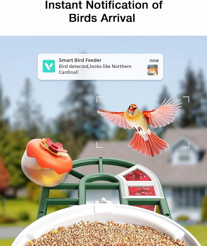 Bird Feeder with Camera-2K Live Video, Solar-Powered, Smart AI Identify Birds, 2L Food Capacity, Arrived Alerts, Bird Videos Storage, Mini Hummingbird Feeder for Watching Birds Outdoor