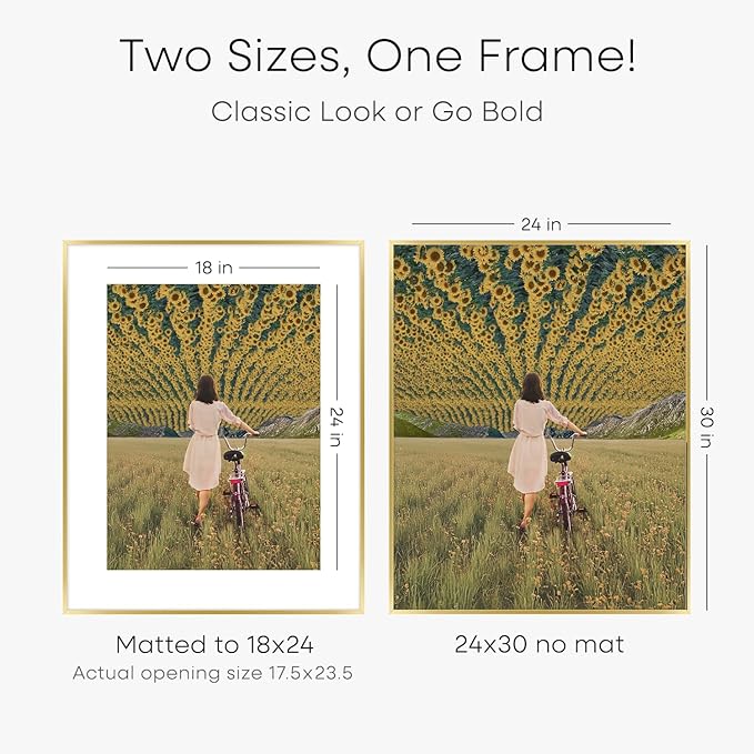 Homeforia 24x30 Picture Frame Gold, High End Metal 24 x 30 Poster Frames with 18 by 24 Mat Opening, 24x30 Gold Photo Frame Matted to 18x24 Print, 30x24 Large Frames, Tempered Glass, Wall Kit, Set of 1