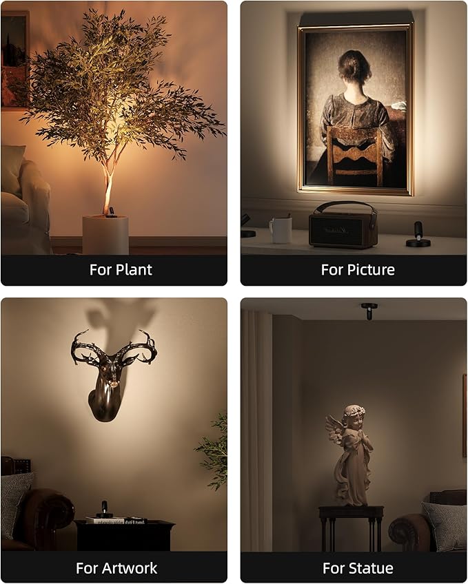 EZVALO Spotlights Indoor with Remote, 5500mAh Rechargeable Picture Lights, Wireless LED Uplighting with Timer＆Dimmable, 3CCT, Display Lights for Plant Painting, Artwork, Accent Lighting (2Pack-Black)
