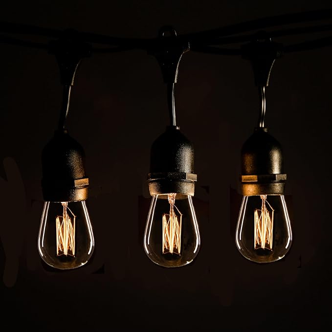 Hometown Evolution, Inc. 100 Foot E26 Commercial Outdoor Edison Bulb String Lights with Suspended Sockets (100 Foot 50 Socket, S14 Lantern Edison 11 Watt Bulbs)