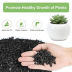 2.5lbs Lava Rocks for Plants, 1/5 Inch Black Gravel for Succulent, Cactus, Bonsai Tree, Pure Volcanic Rocks, Top-Dressing, Good Drainage