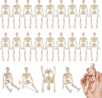 24 Pcs mini skeleton halloween decoration With hemp rope，6”small plastic posable halloween tiny skeleton figurines decor for Halloween Indoor Outdoor Graveyard Decor Haunted House Party Favors