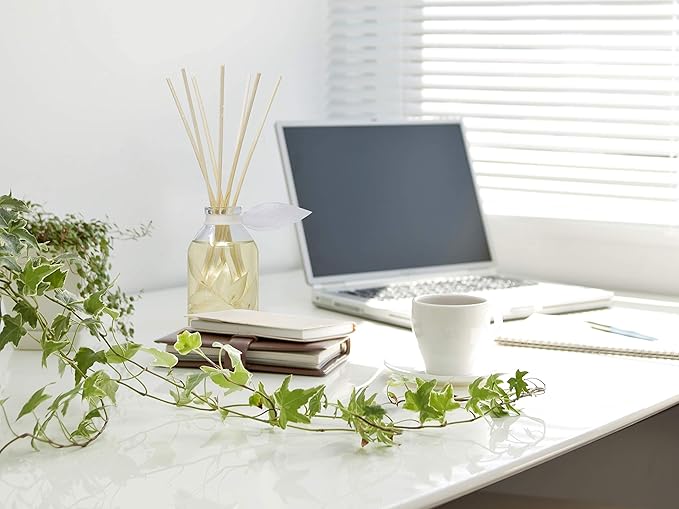 LOVSPA Reed Diffuser Set, Coconut & Eucalyptus Scented Oil Diffuser with Sticks, Home Fragrance Accessories for Bathroom Shelf Decor, Aroma Diffusers for Home or Office Desk, USA Made