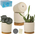 TAMAYKIM 4 Inch Ceramic Plant Pots with Drainage Holes, Modern Flower Planter with Saucer for Indoor Plants, Succulent, Cactus & Herbs, Beige, Set of 4 (Plants Not Included)