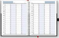 Hourly Appointment Book, Scheduling Book, Daily Schedule Planner with 15 Minutes Increments, Business Appointment Book for Multiple Schedules, Business Planner, Undated, 2 Years, Large, HARDCOVER