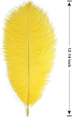 THARAHT Yellow Ostrich Feathers 12pcs Large Natural Bulk 12-14Inch 30cm-35cm for Wedding Party Centerpieces Halloween and Home Decoration Feathers